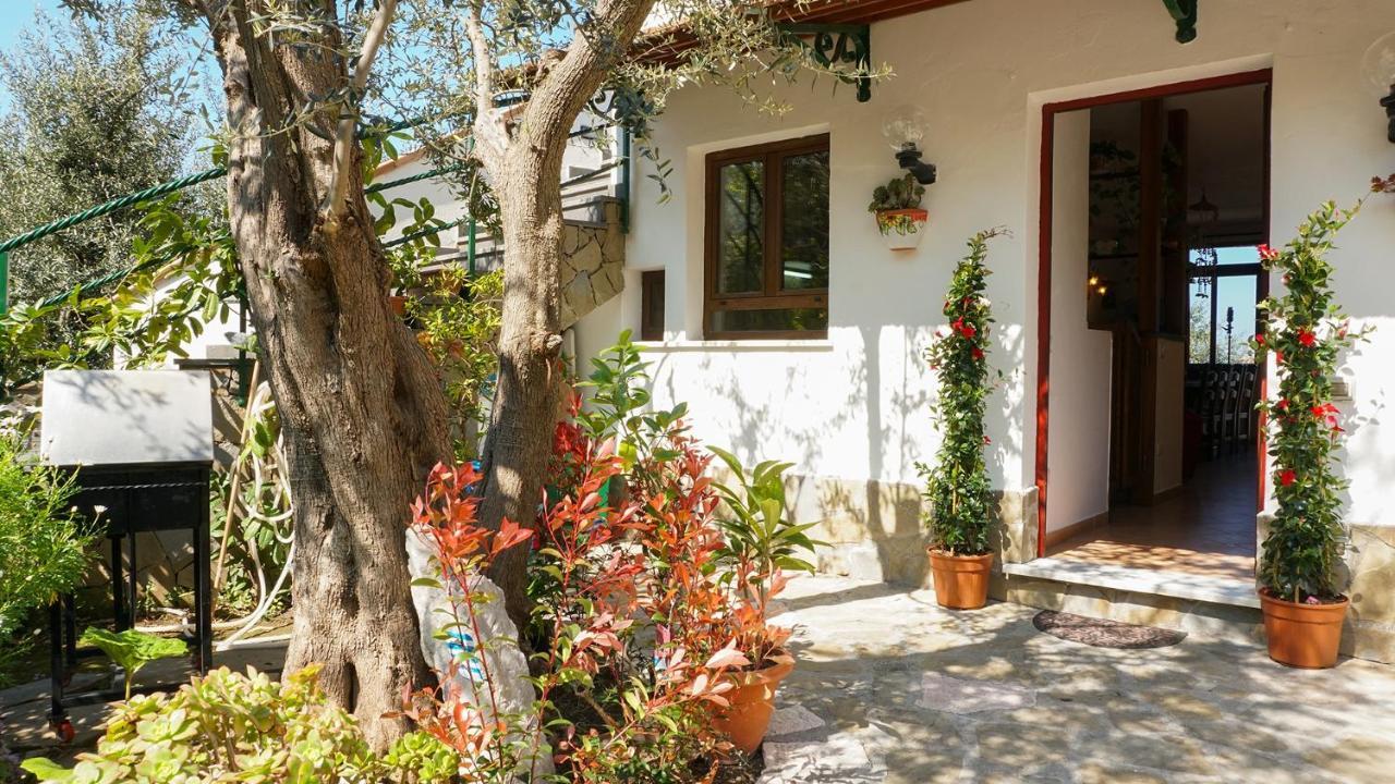 Amore Rentals - Casa Tatano Marciano Exterior photo